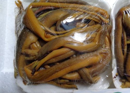 Lươn đồng xứ Nghệ - 360k/kg làm sạch