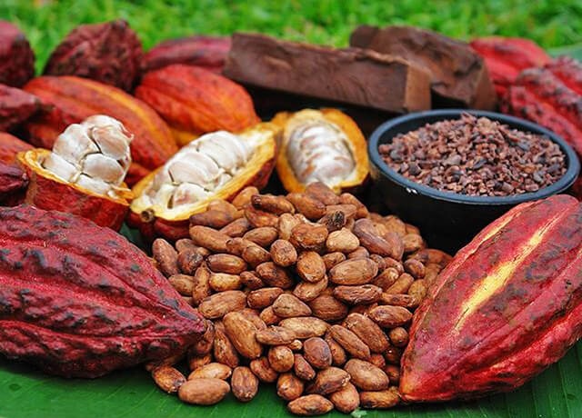 hạt cacao rang