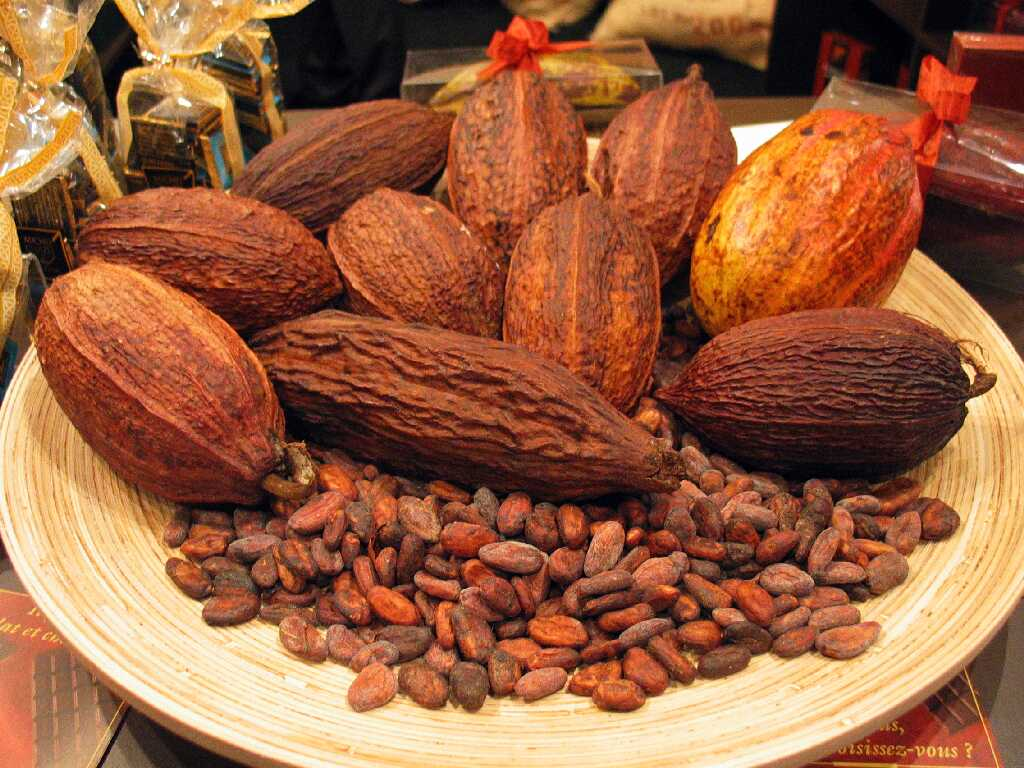 Hạt cacao rang khô