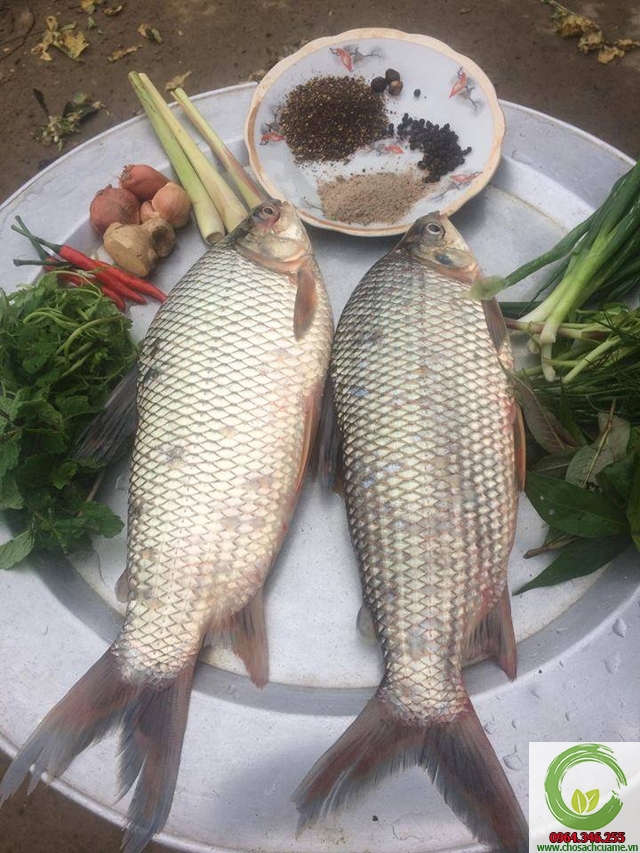 Cá nướng Pa Pỉnh Tộp Pa Pỉnh Tộp