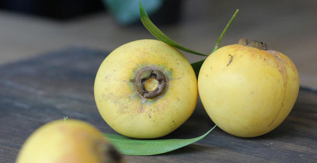 Tác dụng của quả thị