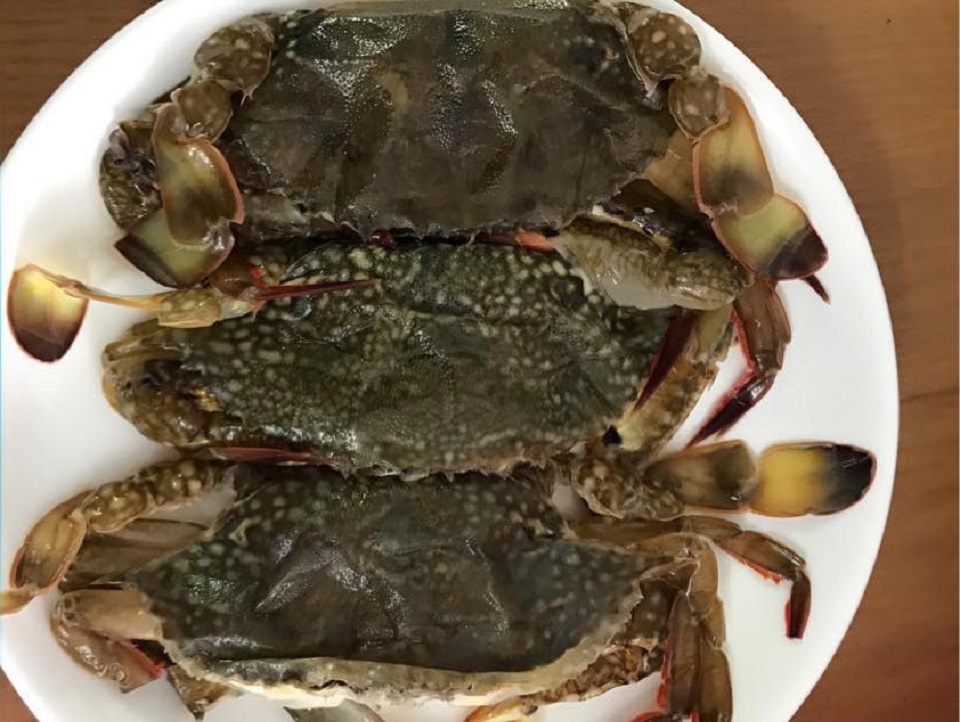 giá ghẹ lột Phú Quốc