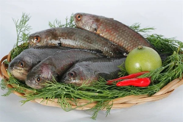 Nguyên liệu bị nấu xôi cá rô đồng