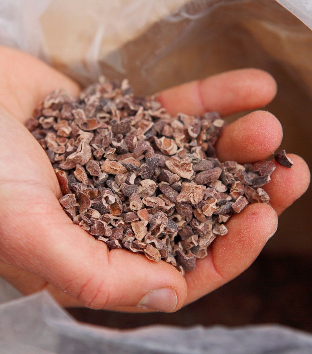 Lợi ích khi dùng Cacao Nibs Việt Nam