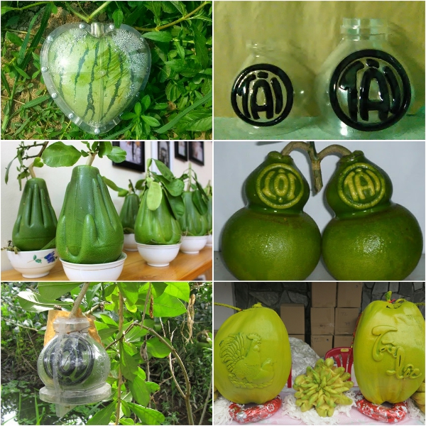 Trái cây tạo hình