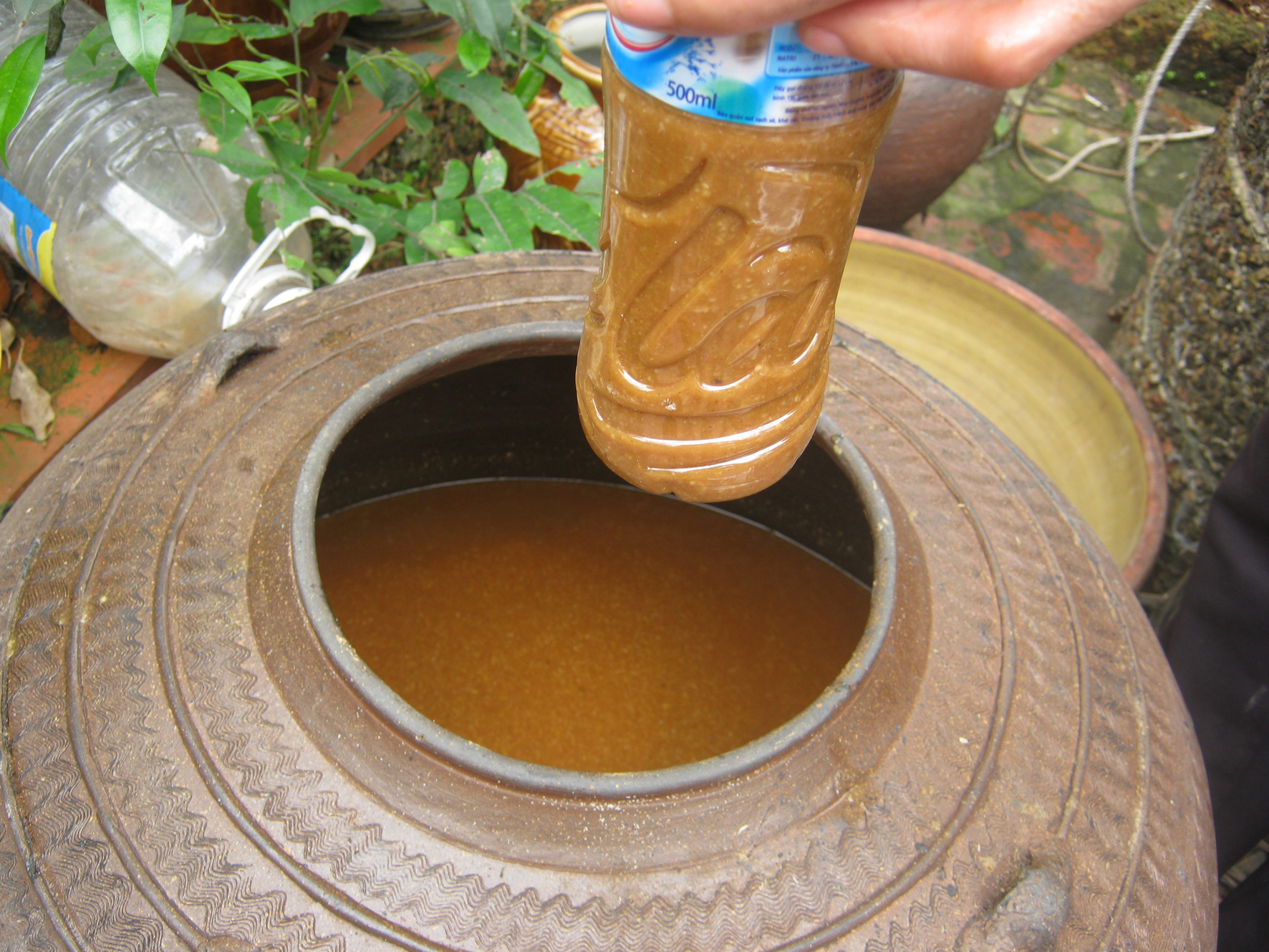 Tương đình tổ đậm đà