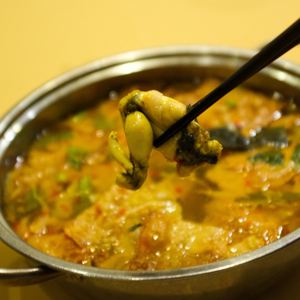 Ếch om phượng tường