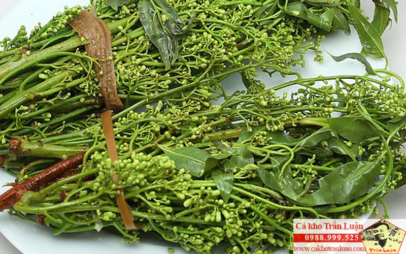 cây lá sầu đâu