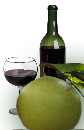 báo giá rượu đào tiên